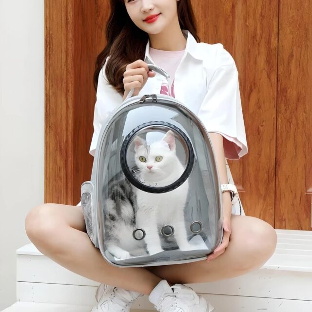 Luxury Cat Space Capsule Transparent Backpack